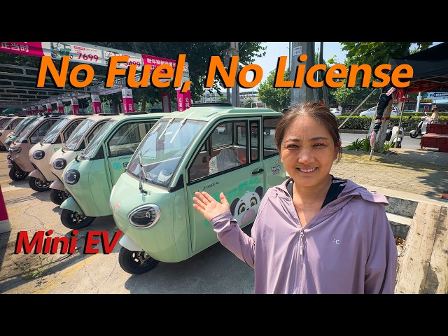 14 Electric Vehicles in Rural China: Prices and Daily Use