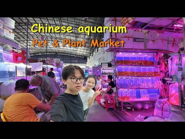 Guangzhou’s Mega Pet and Fish Market: Inside the Wholesale Trade