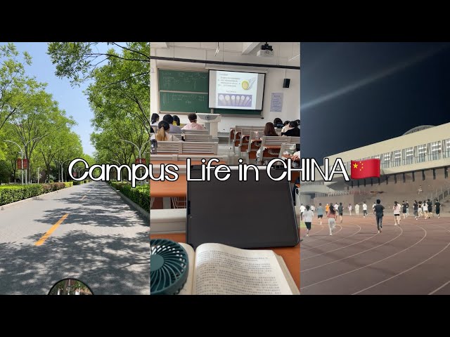 Uni Vlog: Campus Life, Classes, Canteen Food, Activities — Tianjin University, China
