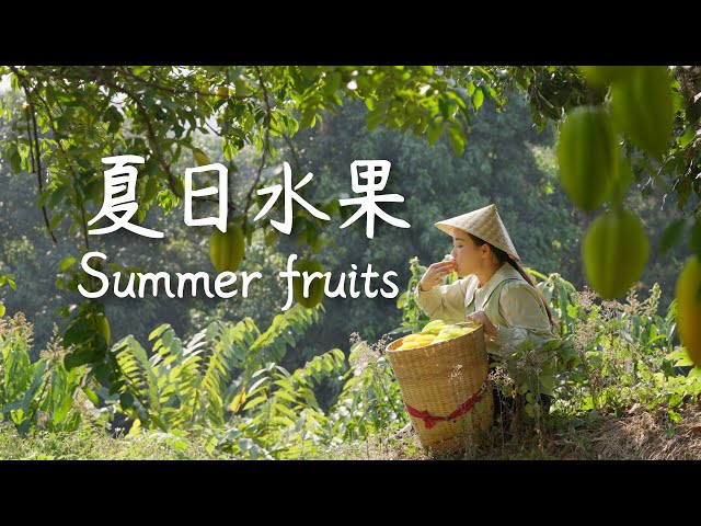 Summer in Yunnan: Endless Fruit to Pick, Endless Joy in My Hometown | Dianxi Xiaoge