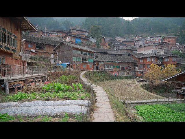 China Rural Village Walk: Life in a Traditional Village on Terraced Fields — Baiyan, Guizhou [4K]