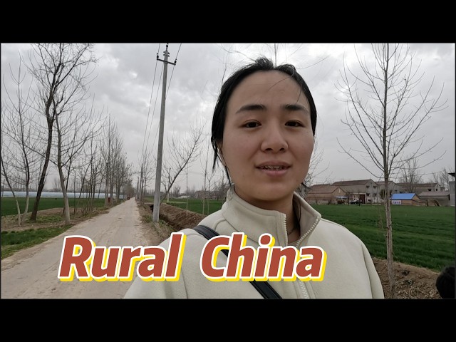 Rural China Village Life in Henan: A Family’s Story