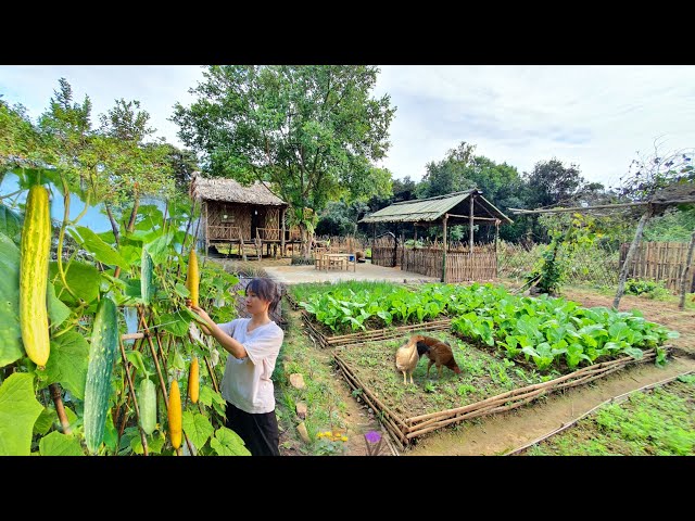 A Day of Farming and Cooking in a Chinese Mountain Village