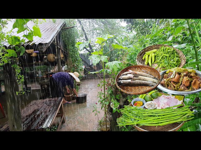 Simple Village Cooking on a Rainy Day — Tasty Food & Peaceful Life