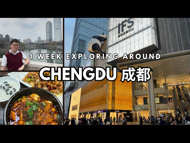 Chengdu Travel: Sichuan Food, Pandas and Top Attractions