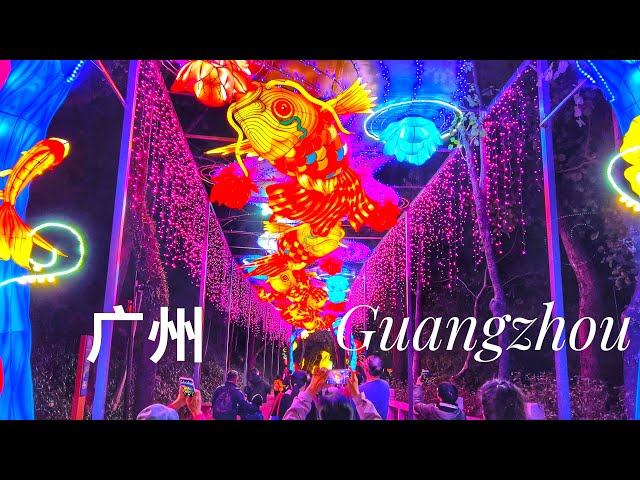 Stunning Chinese New Year Lantern Festival 2025, Guangzhou, China — Walking China