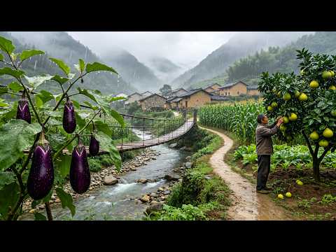 Hidden Deep Mountain Chinese Village Shines After Rain — 4K HDR