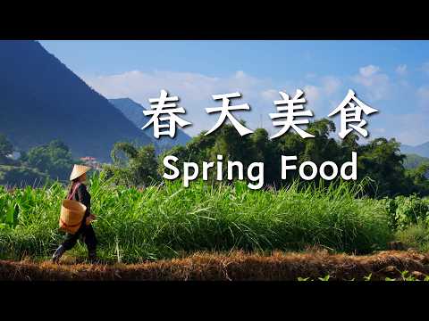 Yunnan Spring Food Collection — Turning the Freshness of Spring into a Table Full of Dishes — Dianxi Xiaoge
