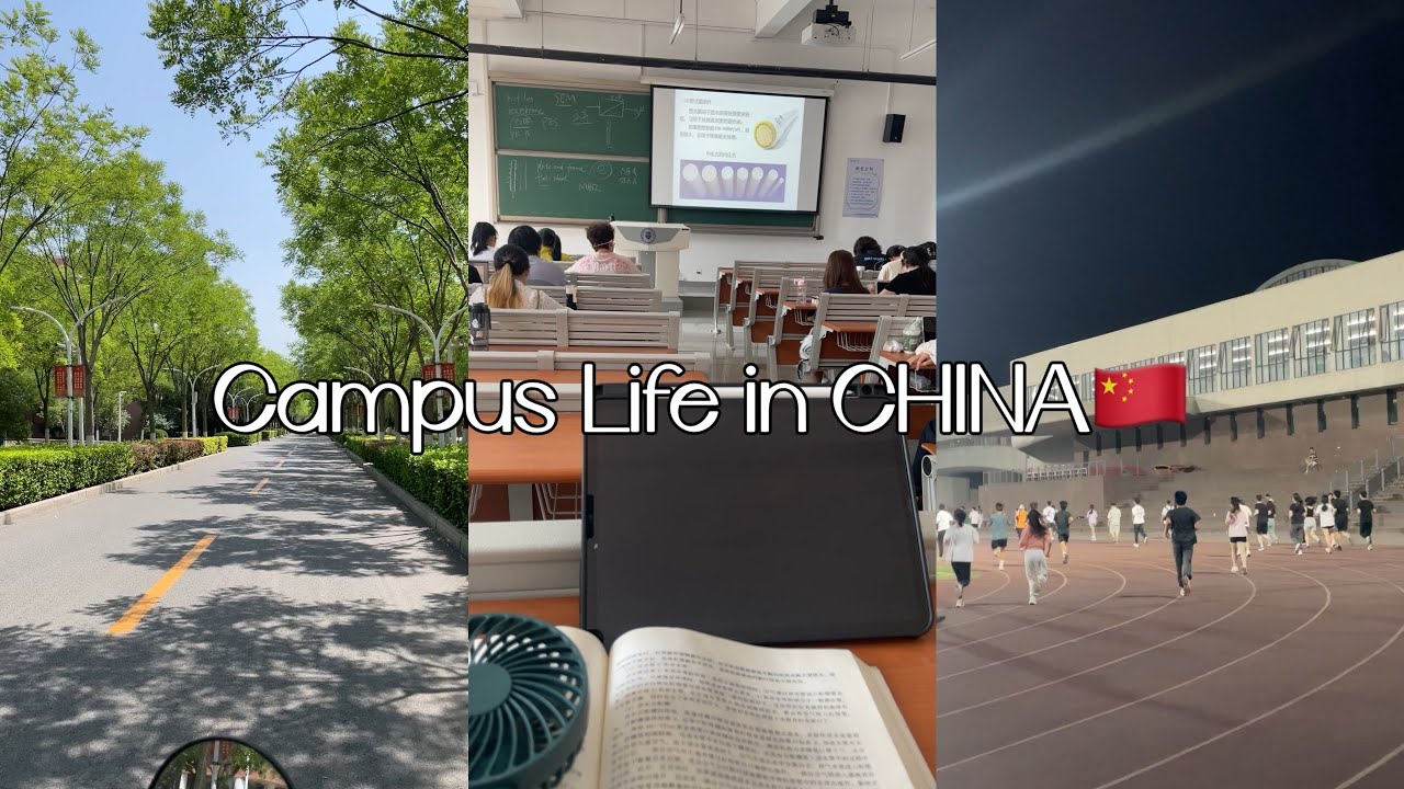 Uni Vlog: Campus Life, Classes, Canteen Food, Activities — Tianjin University, China