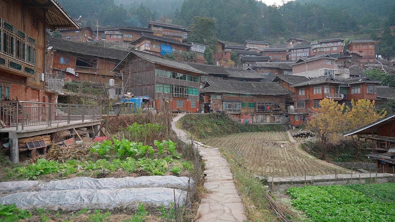 China Rural Village Walk: Life in a Traditional Village on Terraced Fields — Baiyan, Guizhou [4K]