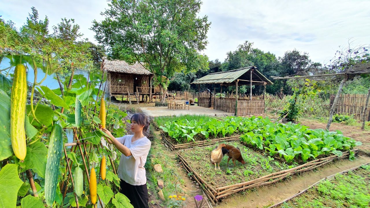 China Rural Life: A Peaceful Day in a Mountain Village