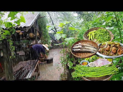 Simple Village Cooking on a Rainy Day — Tasty Food & Peaceful Life